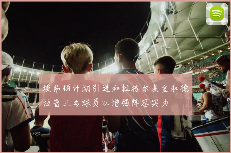 埃弗顿计划引进加拉格尔麦金和德拉普三名球员以增强阵容实力