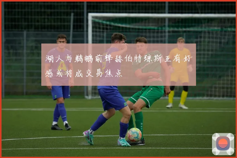 湖人与鹈鹕前锋赫伯特琼斯互有好感或将成交易焦点